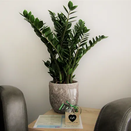 Szálloda Welgelegen